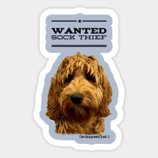 Cockapoo / Doodle Dog Sock Thief Sticker